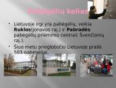 Pabėgėliai - pasaulio problema 4 puslapis