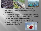 Pabėgėliai - pasaulio problema 7 puslapis