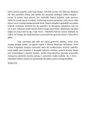 Asmenybės dvilypumo tema lietuvių literatūroje 3 puslapis