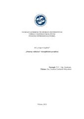 AB „Grigeo Grigiškės“ finansų valdymas. Kompleksinis projektas