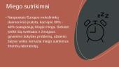 Dienotvarkė ir miego trūkumas 3 puslapis