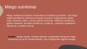 Dienotvarkė ir miego trūkumas 4 puslapis