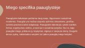 Dienotvarkė ir miego trūkumas 5 puslapis