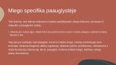 Dienotvarkė ir miego trūkumas 6 puslapis
