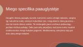 Dienotvarkė ir miego trūkumas 7 puslapis