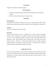 Monomanualinio ir bimanualinio lytėjimų palyginimas 3 puslapis