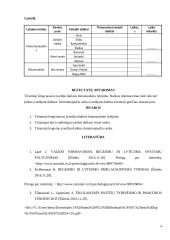 Monomanualinio ir bimanualinio lytėjimų palyginimas 4 puslapis