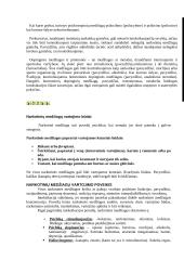 Narkotikai: priežastys, pasekmės, vartotojai 5 puslapis