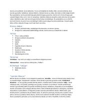 Jono Biliūno novelių konspektai 2 puslapis