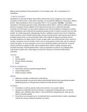 Jono Biliūno novelių konspektai 3 puslapis