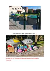 What is the main environmental problem in your area. 2 puslapis