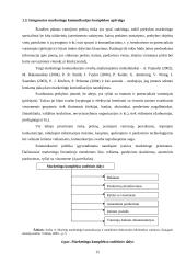Turizmo agentūros "Akademines kelionės" integruoto marketingo komplekso parengimas 13 puslapis