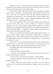 Turizmo agentūros "Akademines kelionės" integruoto marketingo komplekso parengimas 18 puslapis