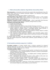 Makroekonomikos egzamino konspektas