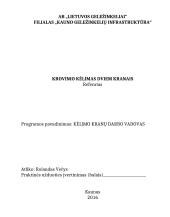 Krovinio kėlimas dviem kranais