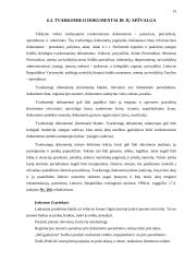 Funkcionuojantys dokumentai ir jų apžvalga įmonėje: UAB "Vaigreda" 13 puslapis