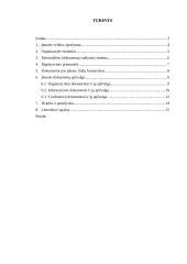 Funkcionuojantys dokumentai ir jų apžvalga įmonėje: UAB "Vaigreda" 3 puslapis