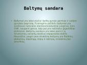 Baltymai skaidrės 5 puslapis