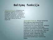 Baltymai skaidrės 7 puslapis