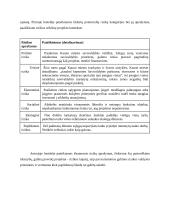 Pikniko vietų įrengimo Kauno žaliosiose zonose 14 puslapis