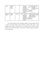 Pikniko vietų įrengimo Kauno žaliosiose zonose 16 puslapis