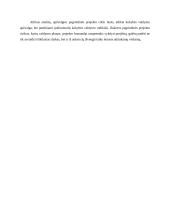 Pikniko vietų įrengimo Kauno žaliosiose zonose 4 puslapis