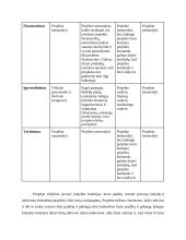 Pikniko vietų įrengimo Kauno žaliosiose zonose 7 puslapis