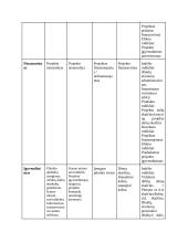 Pikniko vietų įrengimo Kauno žaliosiose zonose 9 puslapis