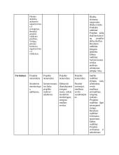 Pikniko vietų įrengimo Kauno žaliosiose zonose 10 puslapis