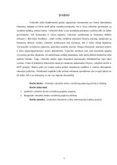 Valstybės skolos vertybinių popierių paskirtis ir reikšmė 3 puslapis