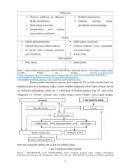 Valstybės skolos vertybinių popierių paskirtis ir reikšmė 7 puslapis