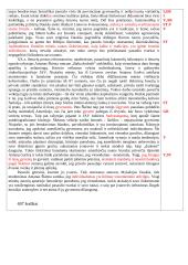 Pasaulis įdomus savo įvairove, o ne vienodumu 2 puslapis