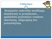 Požeminis vanduo skaidrės 2 puslapis