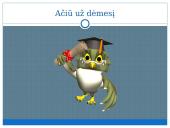 Požeminis vanduo skaidrės 14 puslapis