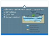 Požeminis vanduo skaidrės 4 puslapis