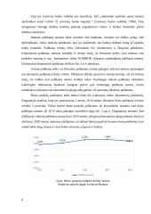 AB ,,Swedbank“ ir AB ,,SEB“ bankų būsto paskolų duomenų palyginimas 8 puslapis