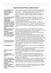 Jonas Biliūnas "Laimės žiburys" analizė 2 puslapis