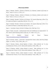 Adorantų figūros akmens amžiaus Europos ir Rytų Baltijos regiono mene 15 puslapis