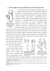 Adorantų figūros akmens amžiaus Europos ir Rytų Baltijos regiono mene 4 puslapis