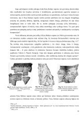 Adorantų figūros akmens amžiaus Europos ir Rytų Baltijos regiono mene 10 puslapis