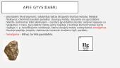 Gyvsidabris ir apie jį 2 puslapis