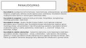 Gyvsidabris ir apie jį 6 puslapis