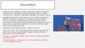 Gyvsidabris ir apie jį 7 puslapis