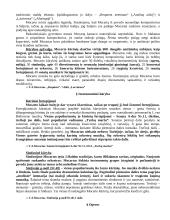 Klasicizmas, Haidinas, Mocartas 3 puslapis