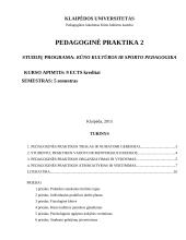 Pedagoginė praktika