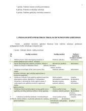 Pedagoginė praktika 2 puslapis