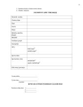 Pedagoginė praktika 13 puslapis