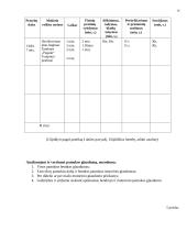 Pedagoginė praktika 14 puslapis