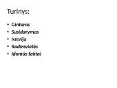 Gintaras skaidrės 2 puslapis