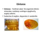 Gintaras skaidrės 3 puslapis